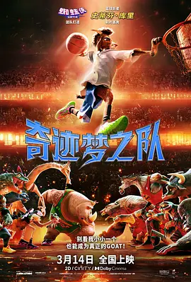 福利视频合集100